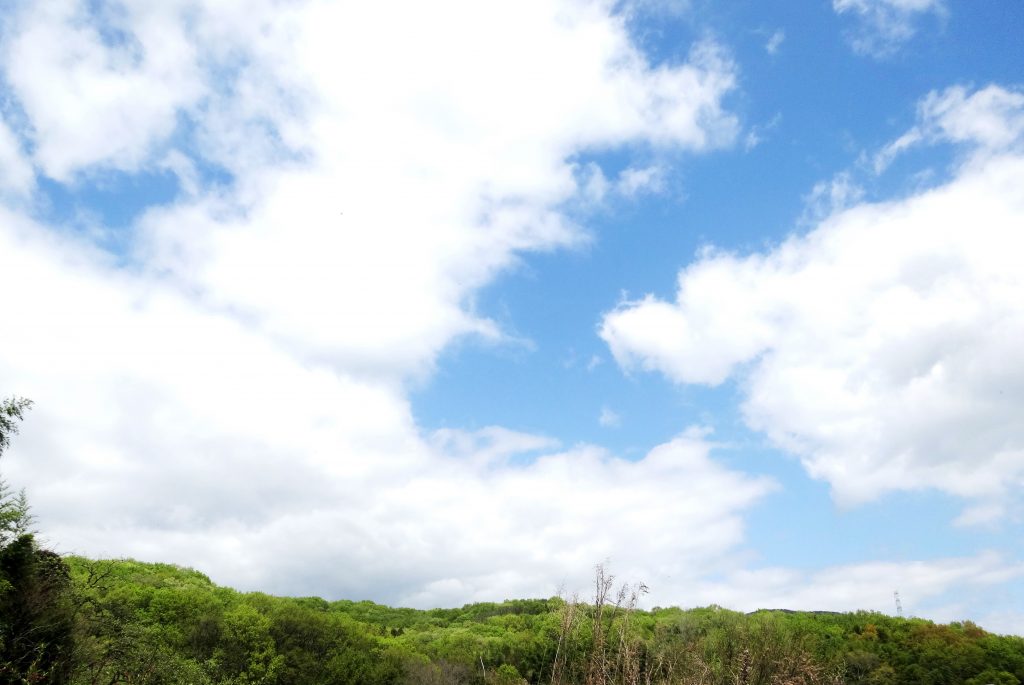 THE田舎の春の空