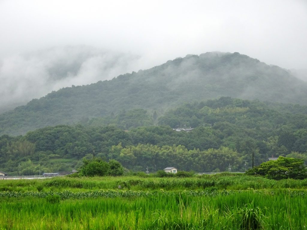 雨上がりの梅雨の田舎