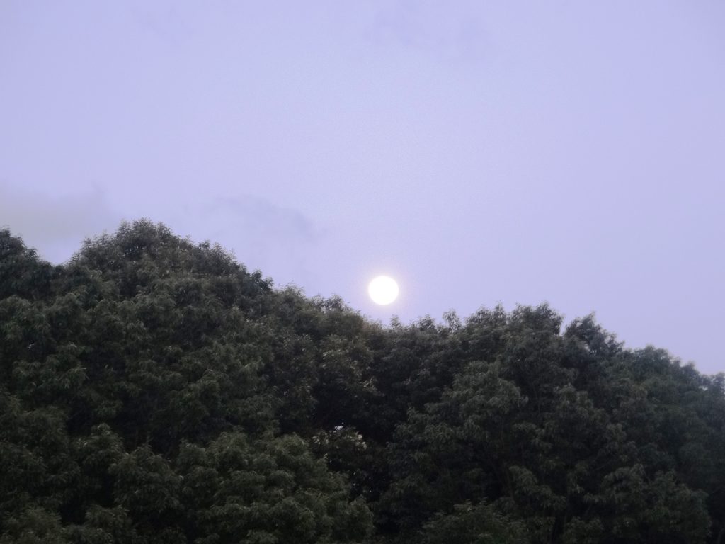 小望月