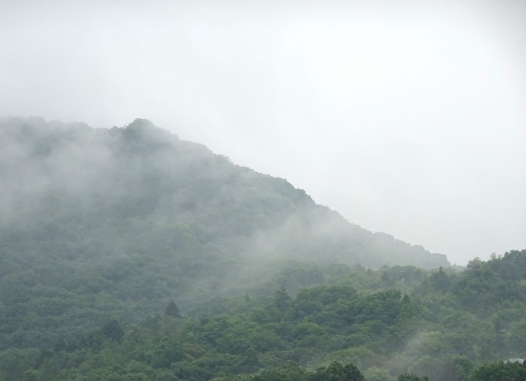 梅雨の山