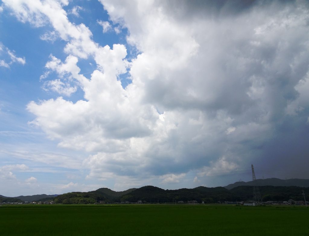 夏の雲