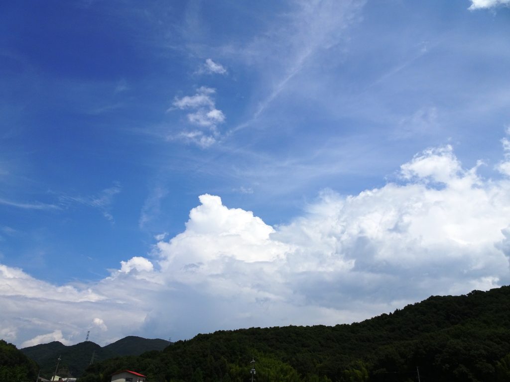 夏の雲