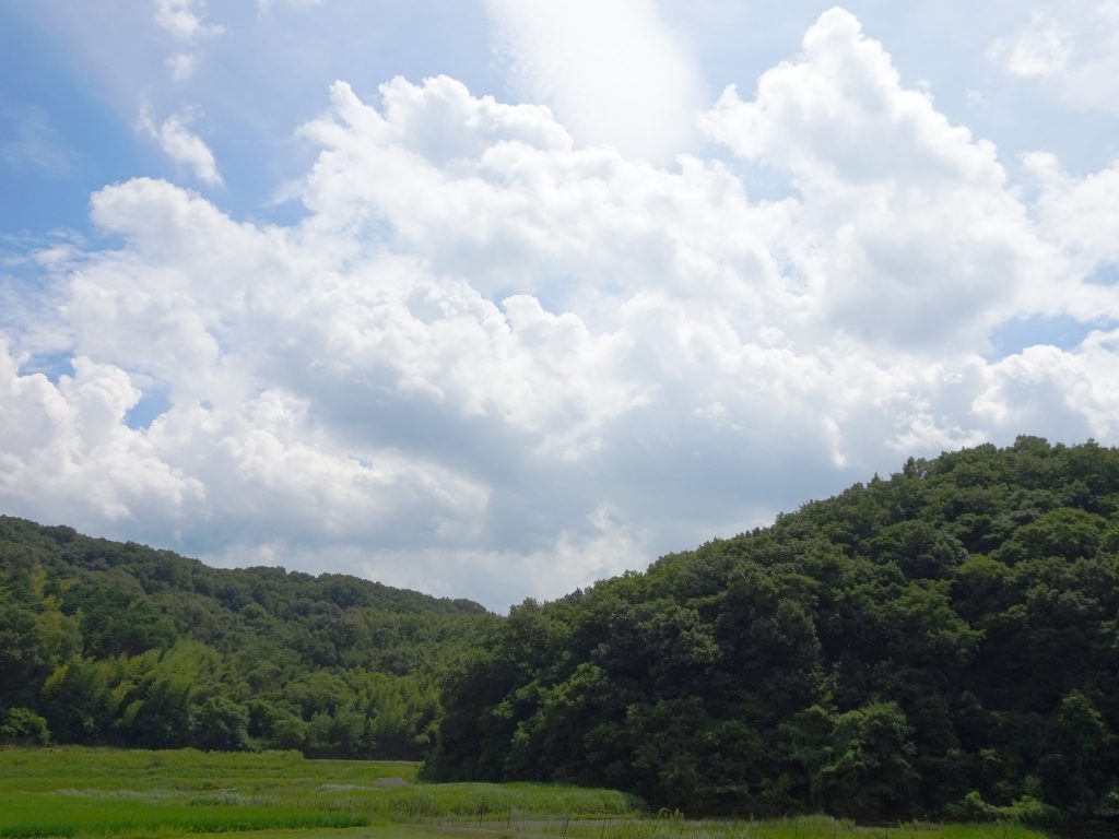夏の雲
