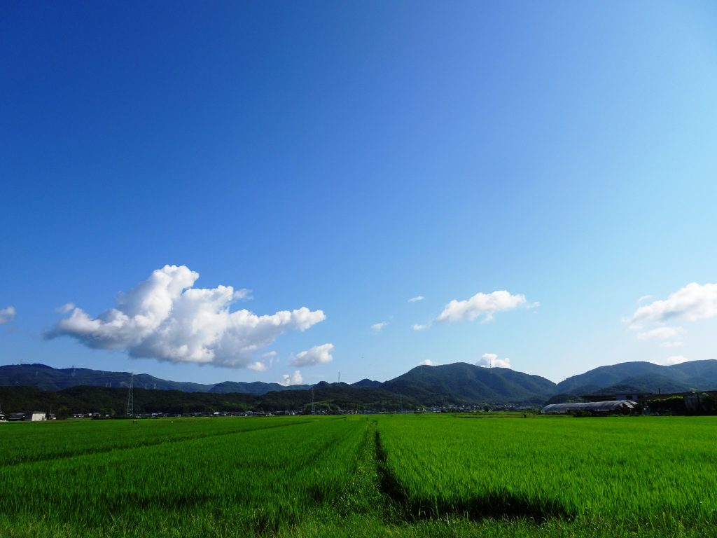 夏の空