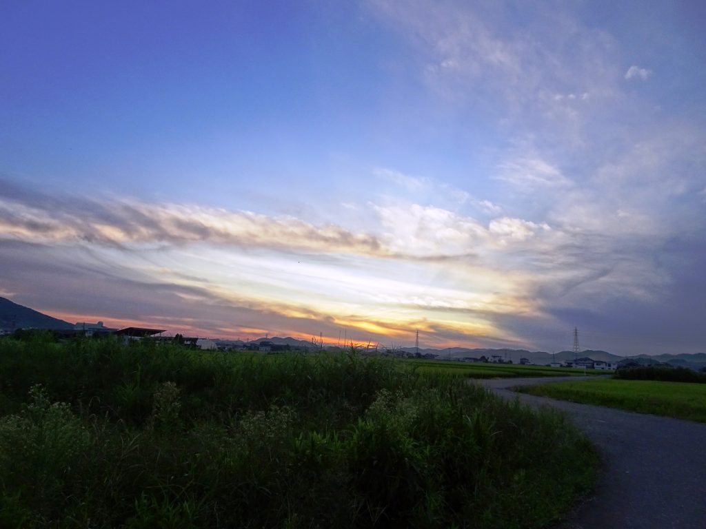 農道 夕景