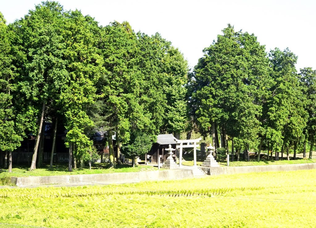 秋の田舎のお宮