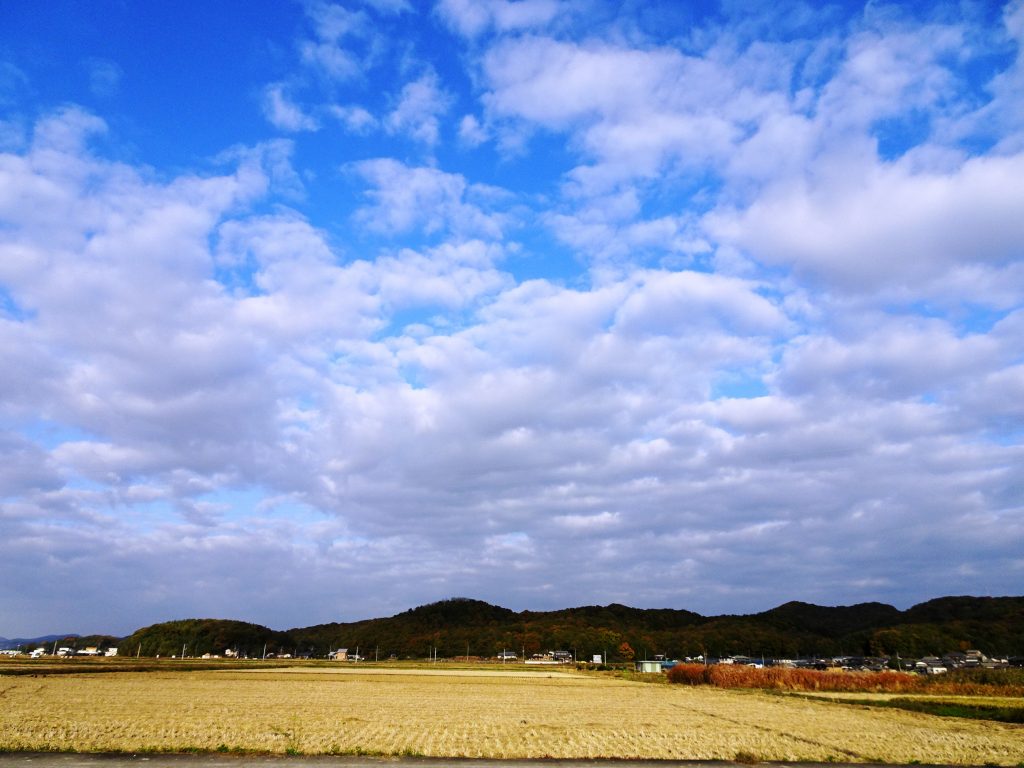 晩秋の田舎