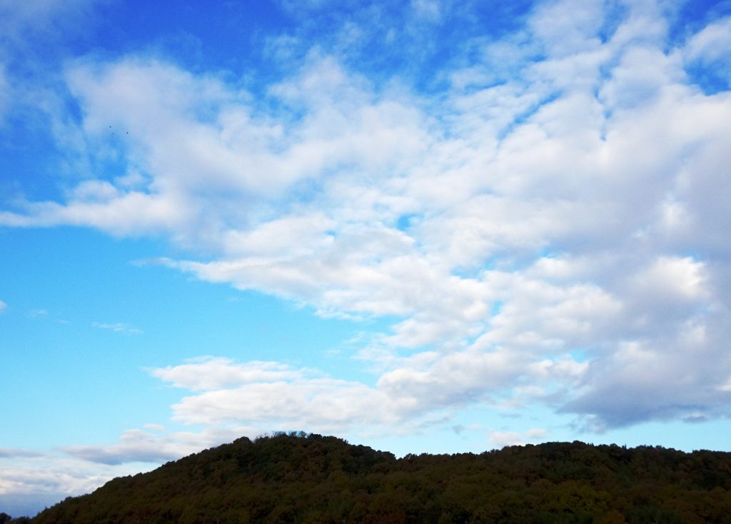 もうすぐ冬の朝