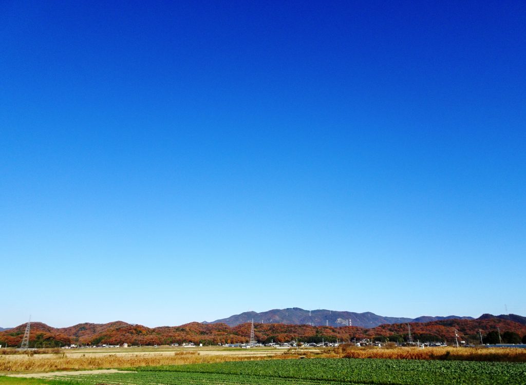 初冬の田舎