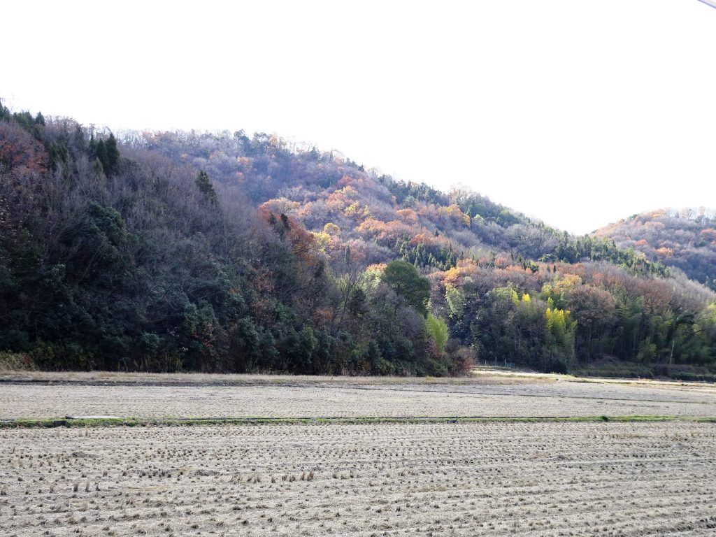 冬の山