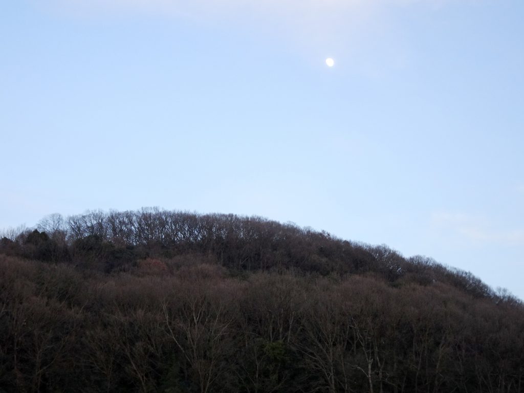 夕方 東の空
