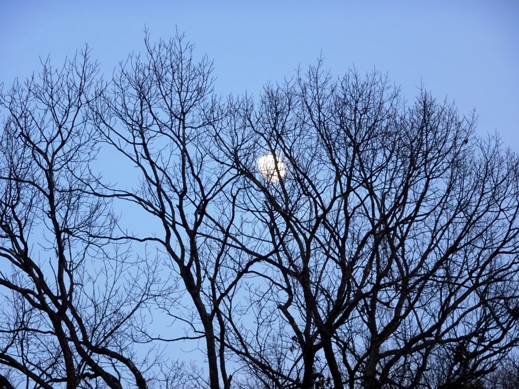 夕方 東の空