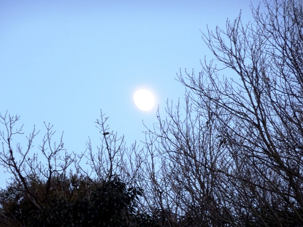 夕方 東の空