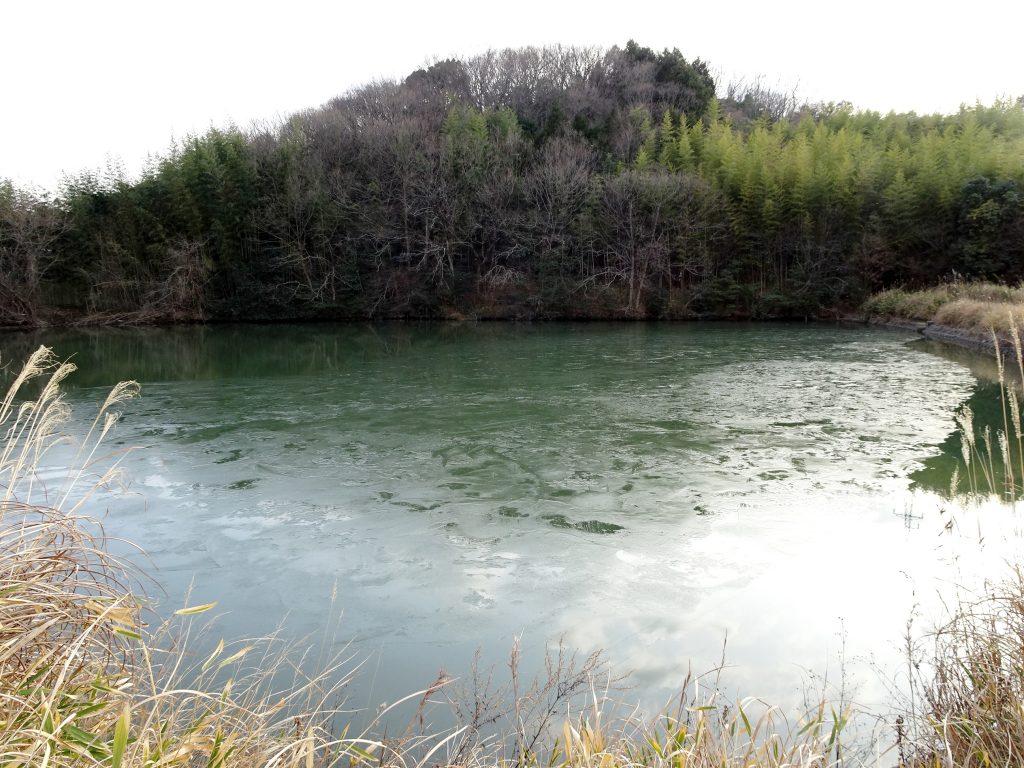 池も氷