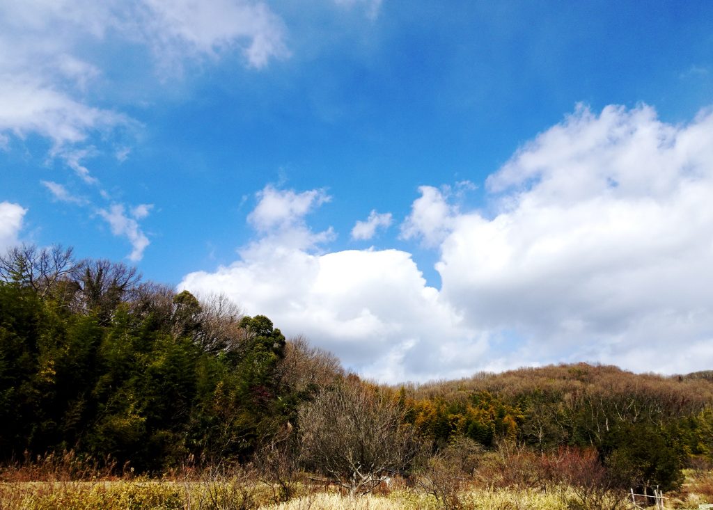 春待つ田舎