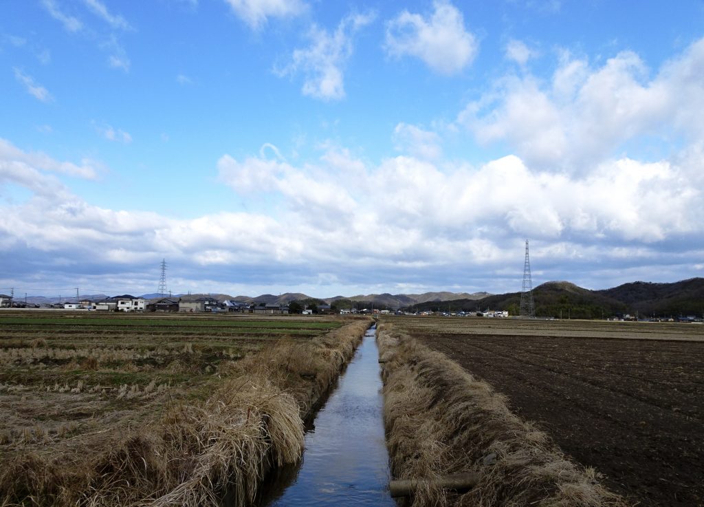 早春の川