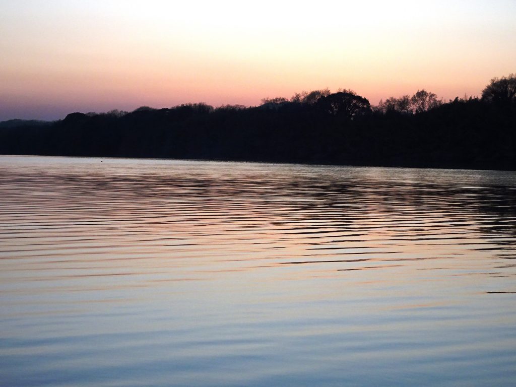 春の夕景