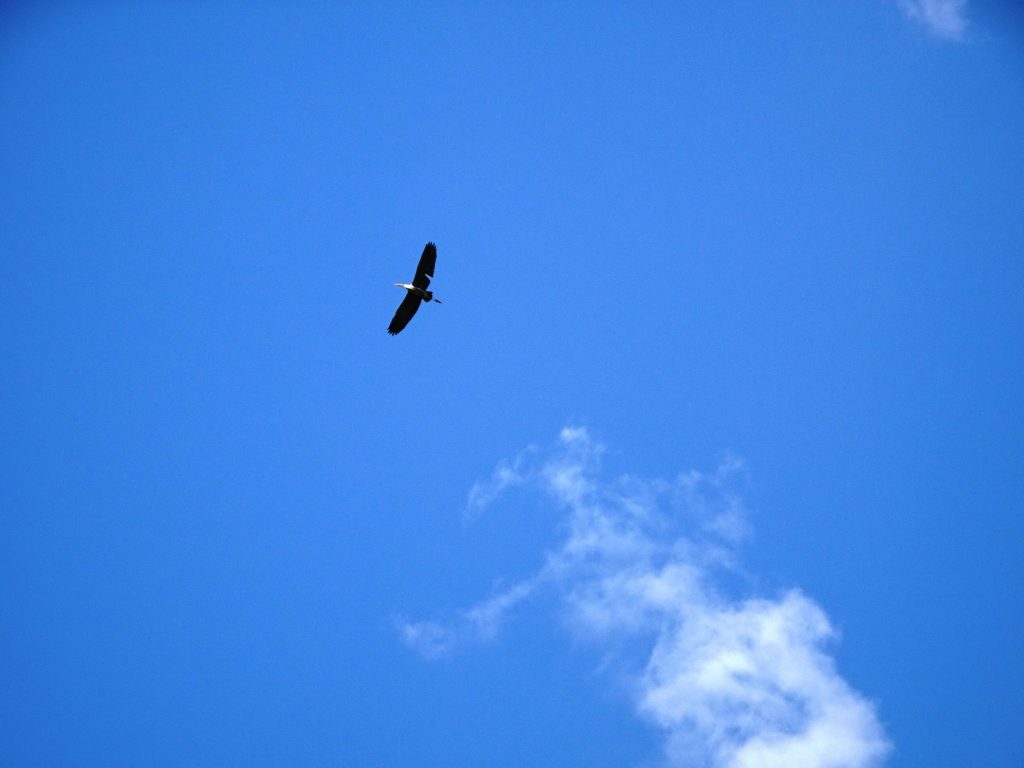 田舎の空