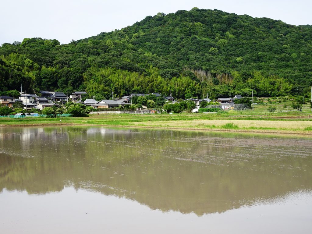 田んぼに映る山