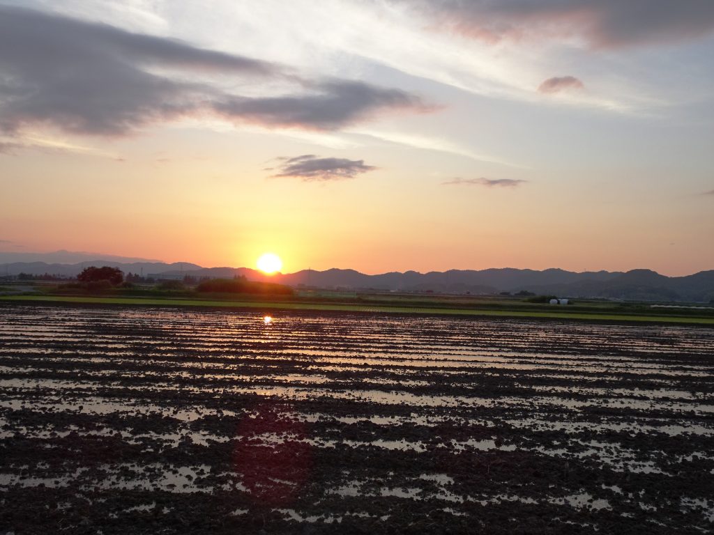田植え前夕景