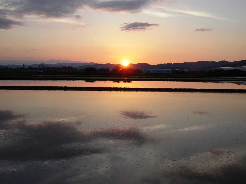 田植え前夕景