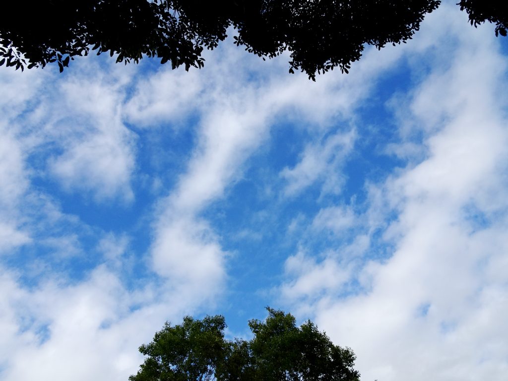 夏の空