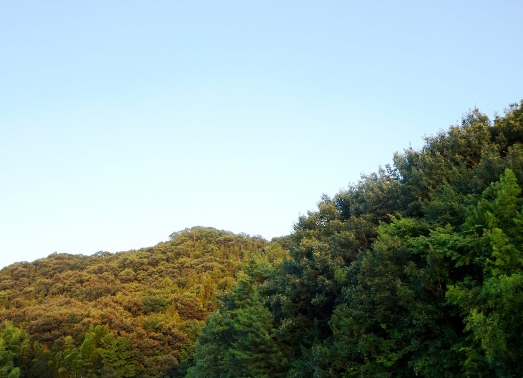 夏の山夕景