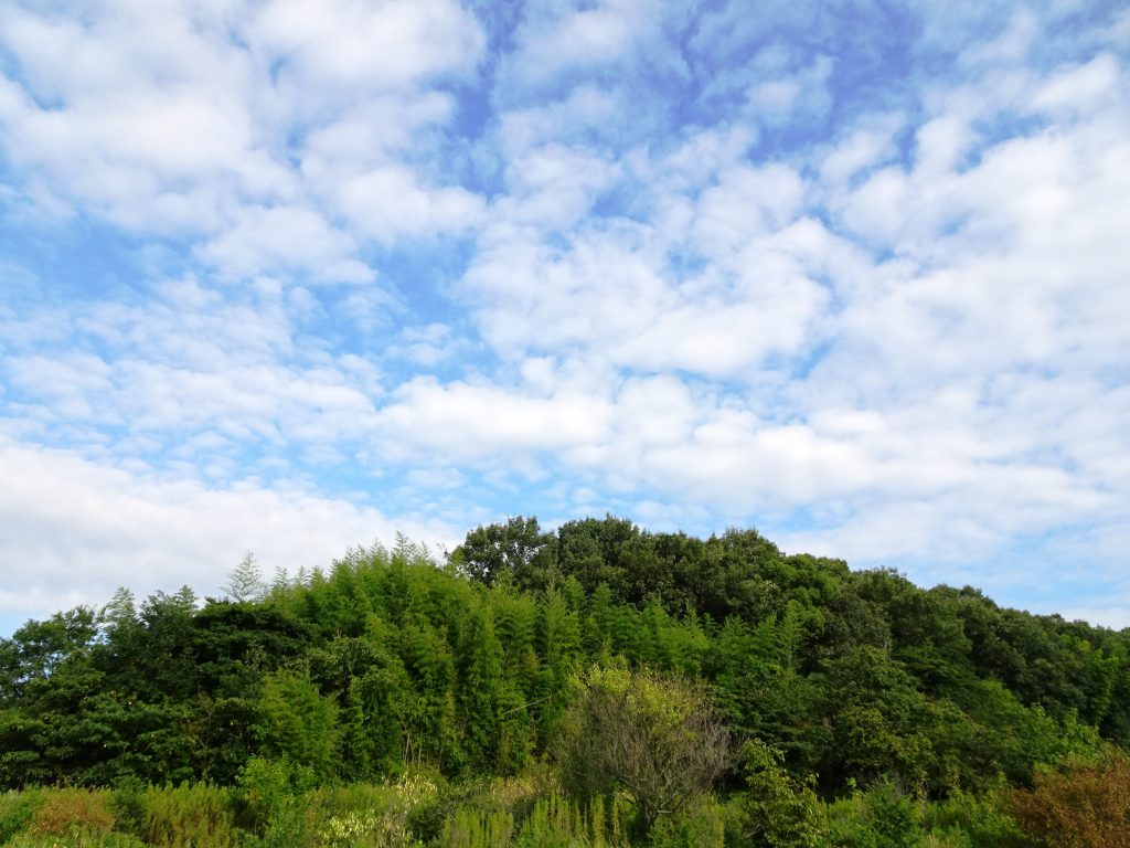 晩夏の田舎