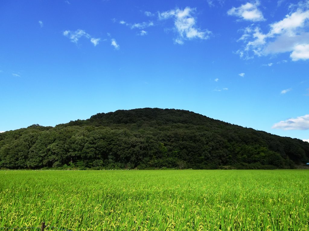 田舎の秋