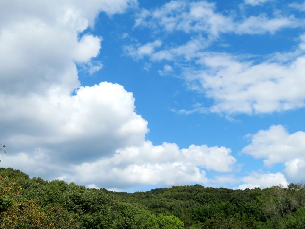 田舎の秋