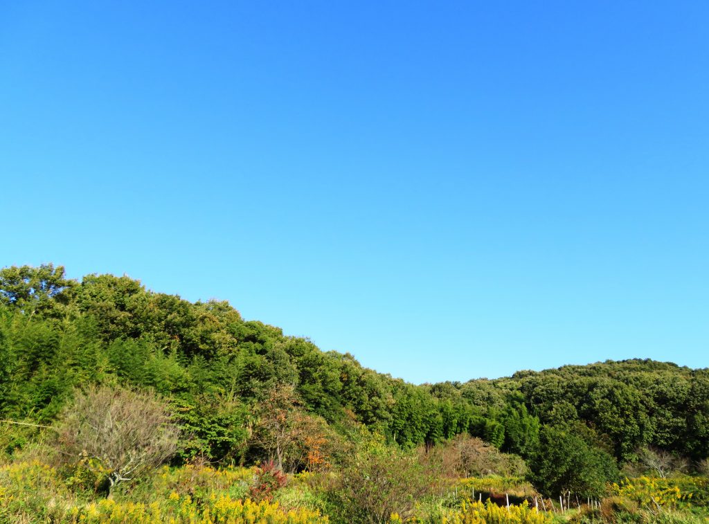 秋の田舎