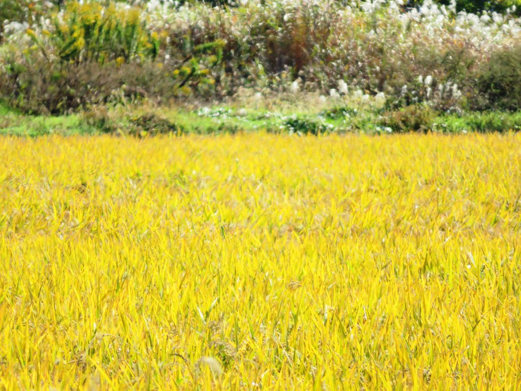 秋の田舎