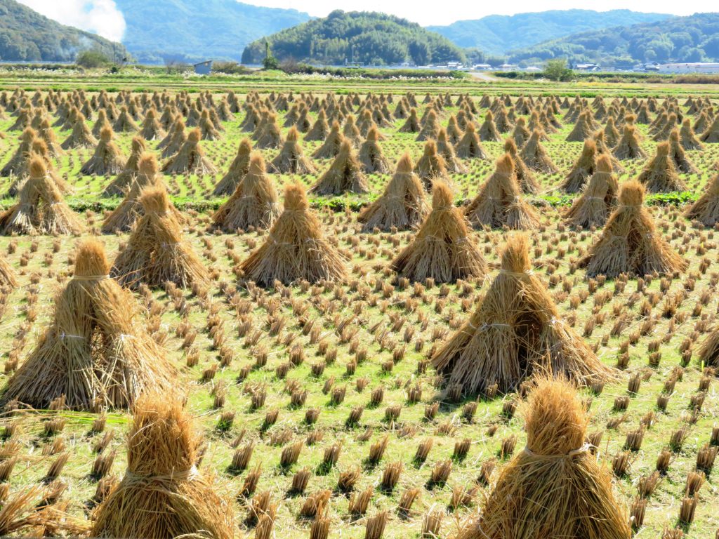 秋の田舎