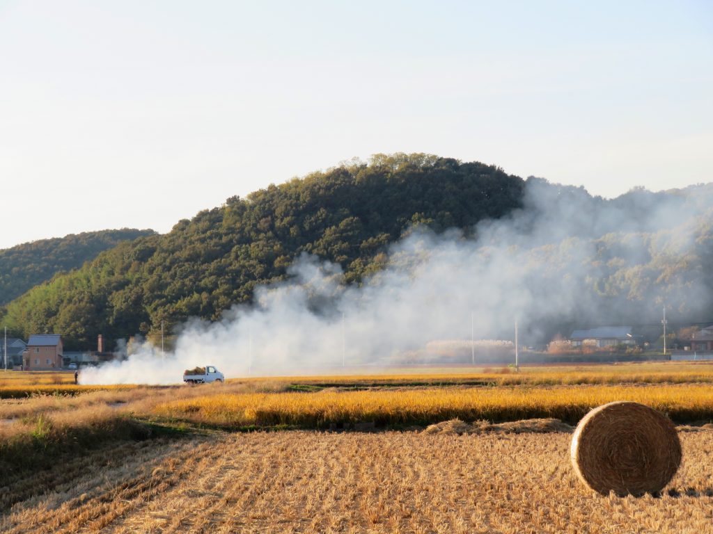 秋の田舎