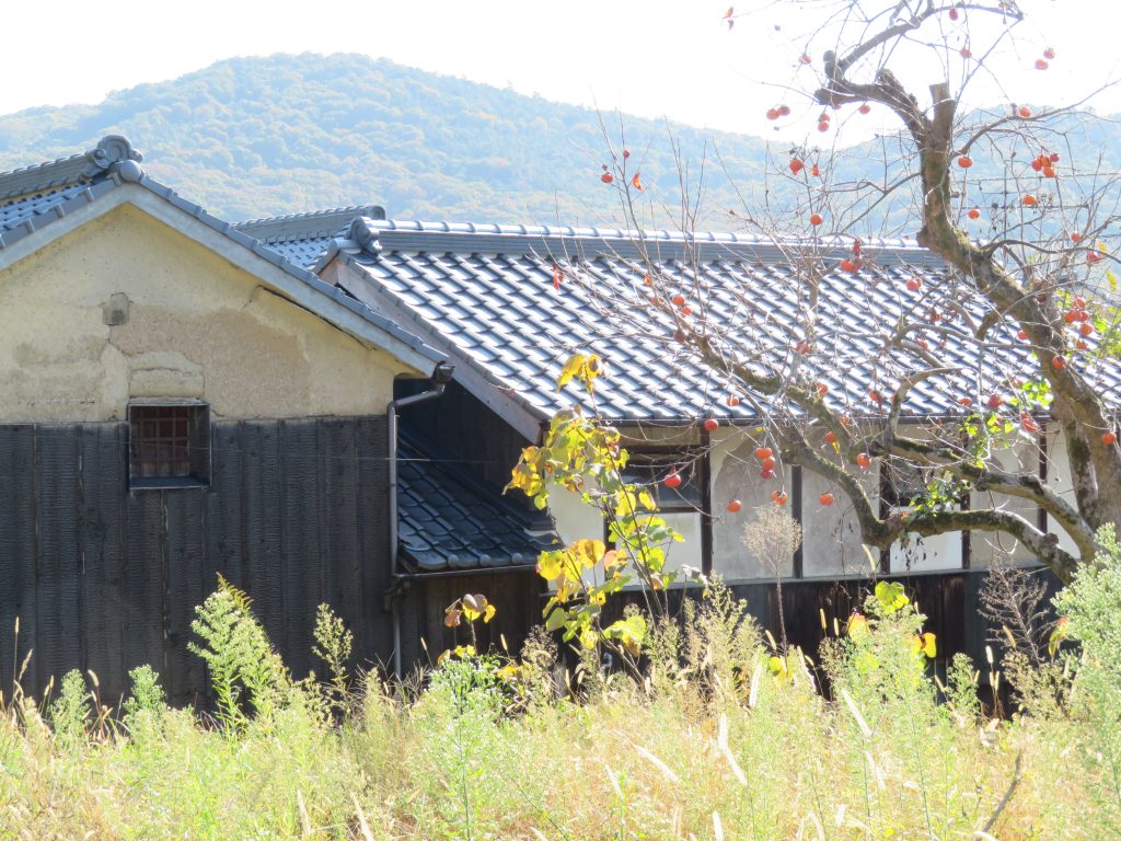 田舎の秋
