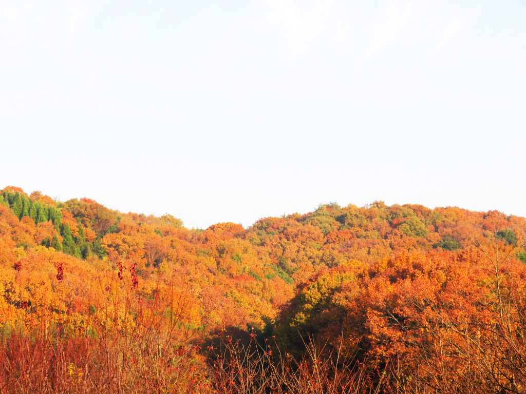 山の朝
