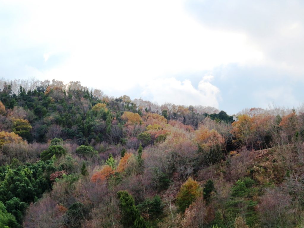 冬の山