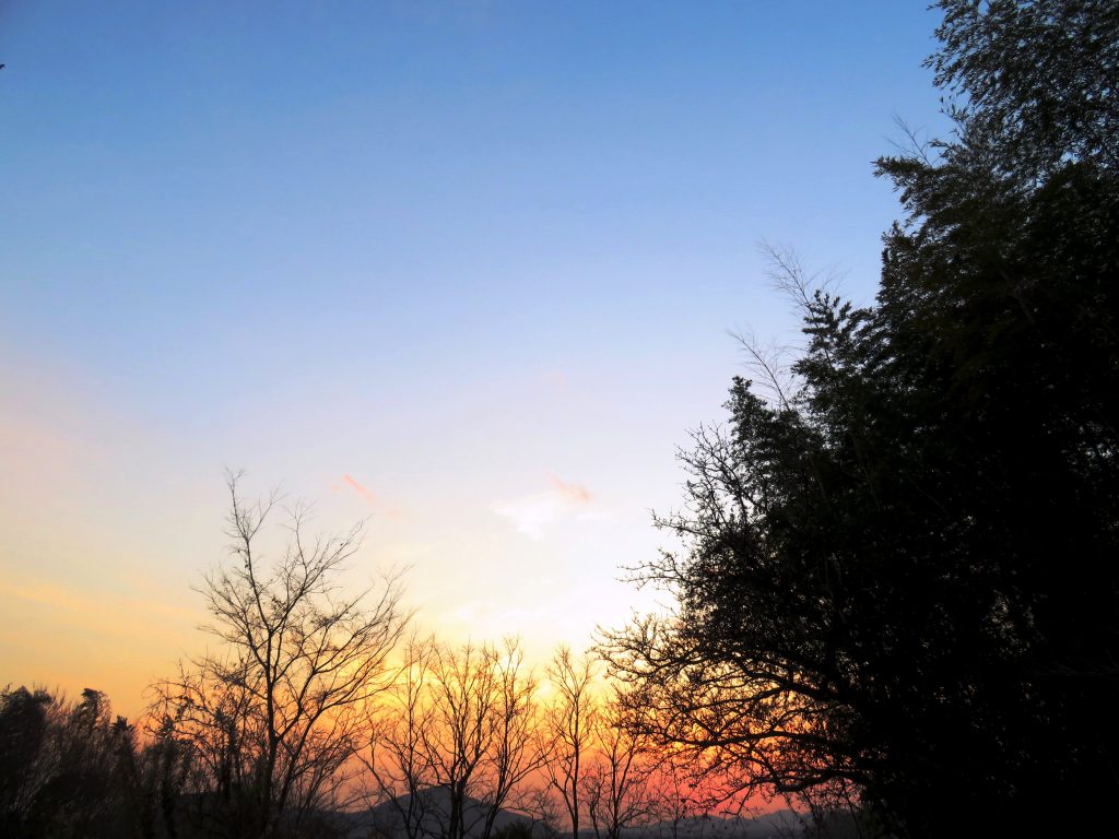 冬の夕暮れ
