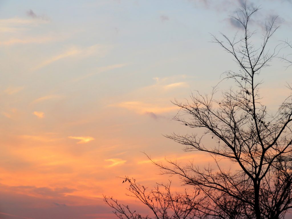 冬の夕暮れ