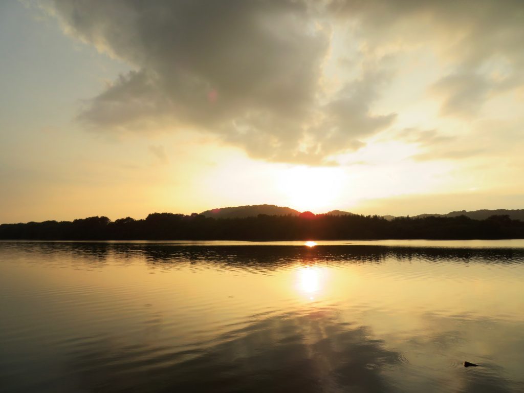 夏、川辺の夕景
