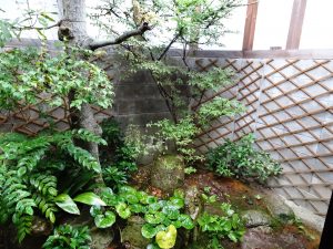 雨の小庭