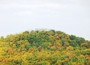 秋の田舎の山