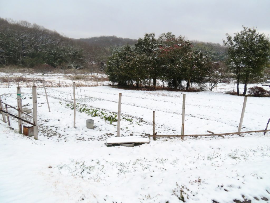 雪の田舎