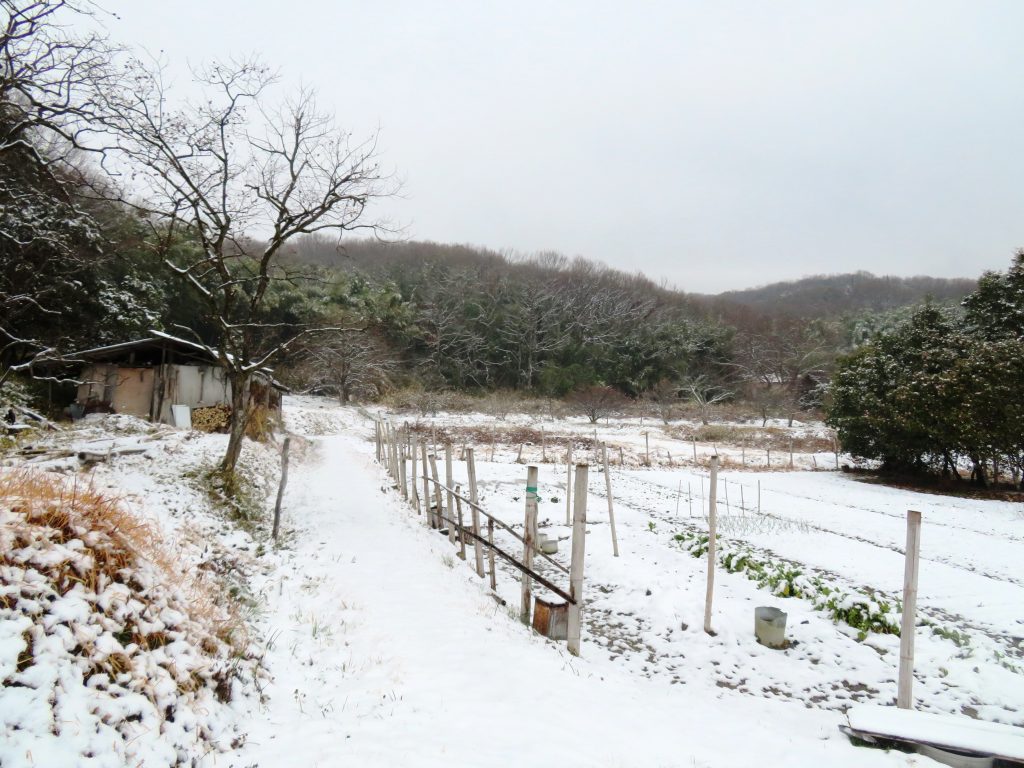 雪の田舎