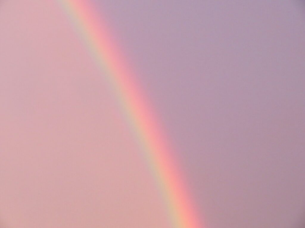 ピンクの空の虹