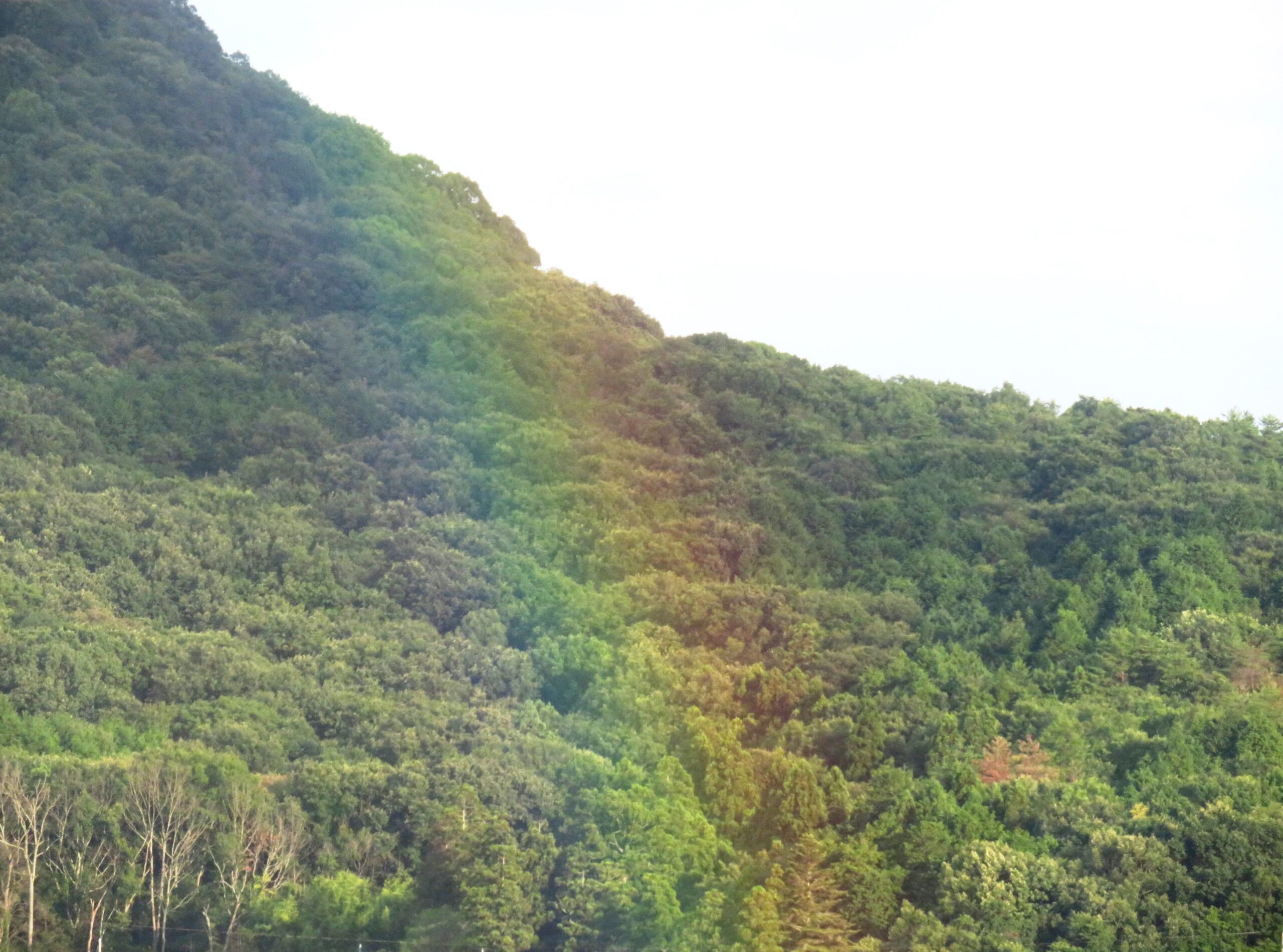 山に架かる虹