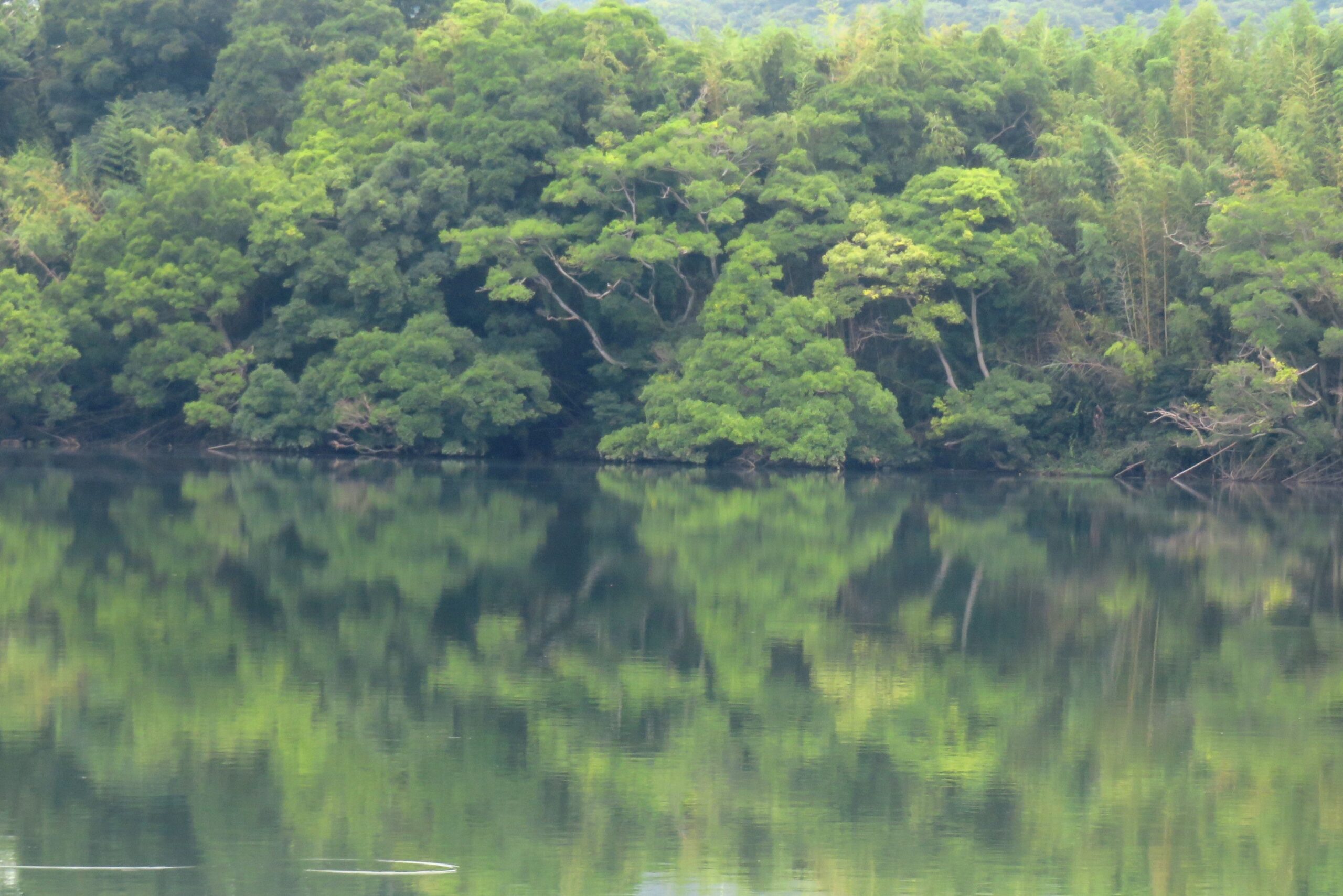 梅雨の晴れ間