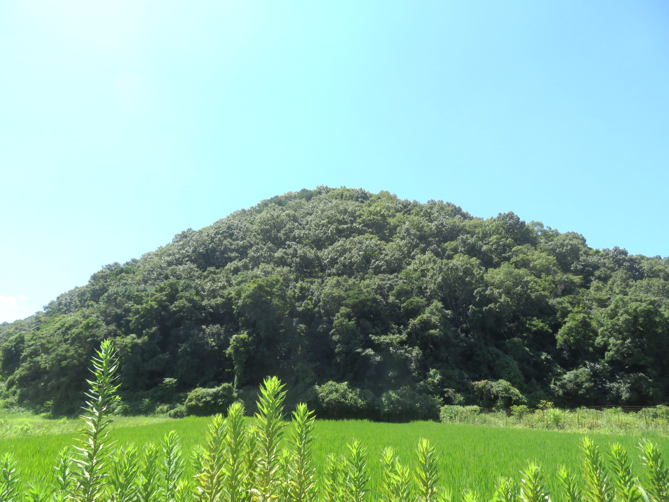 8月の田舎