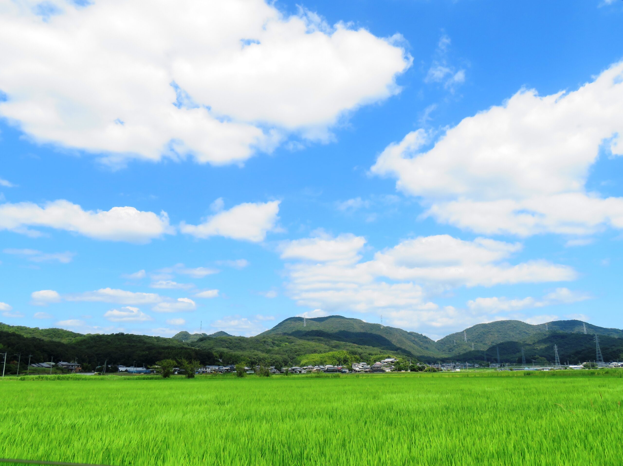 8月の田舎