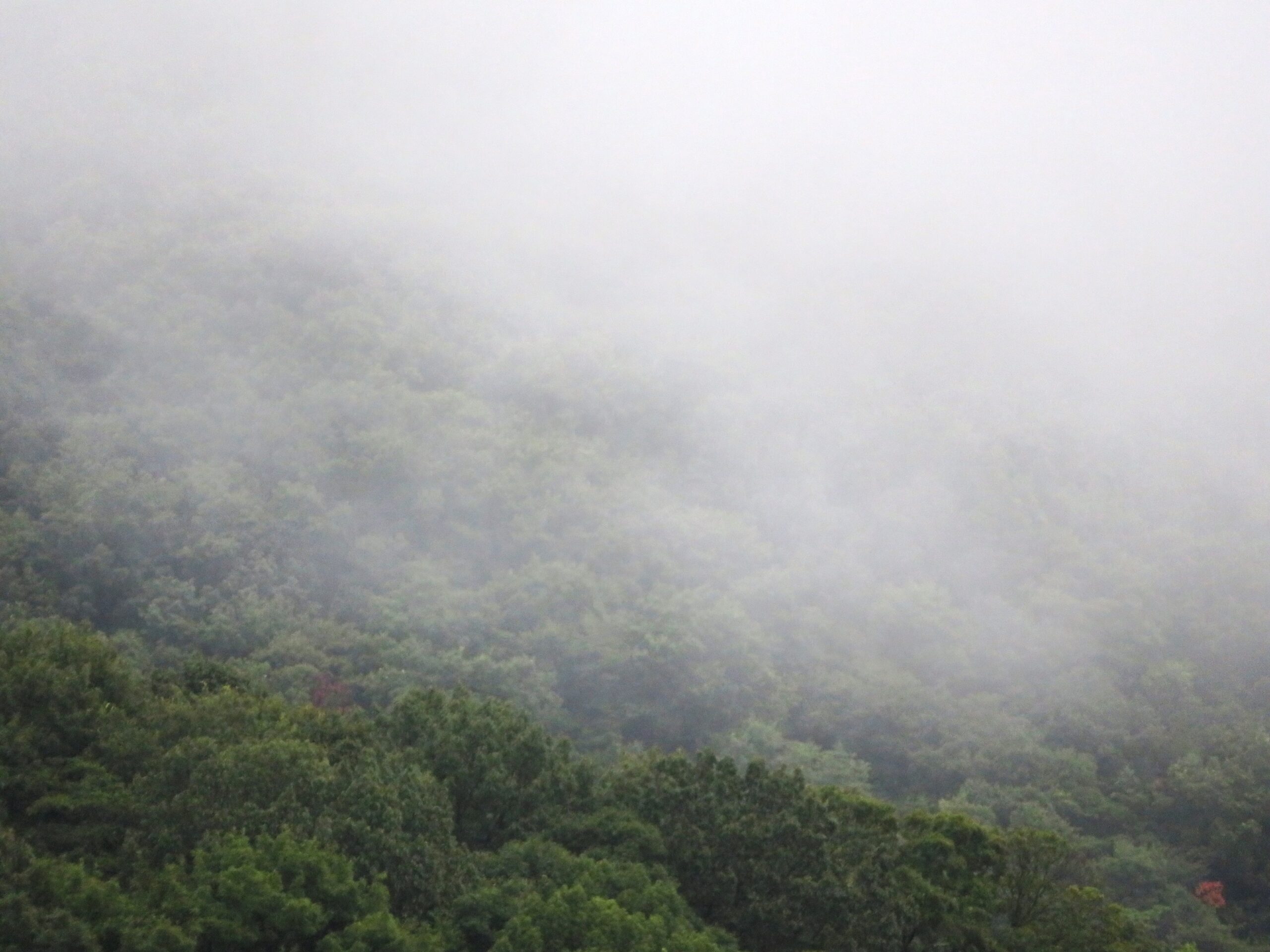 雲上がる